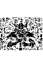 Viking.webp
